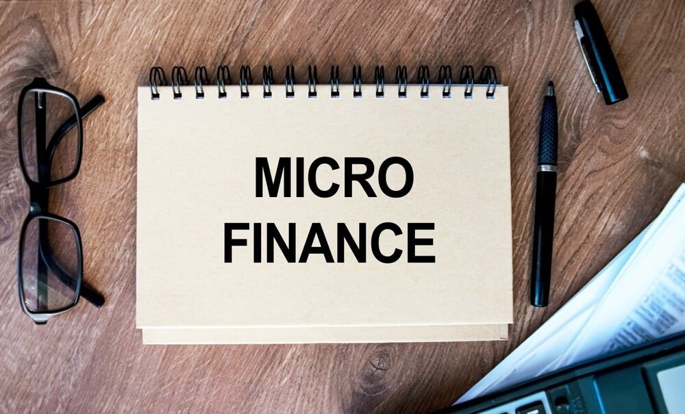 Top 10 Microfinance Companies in India 2024