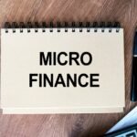 The Top 10 Microfinance Companies in India, 2024