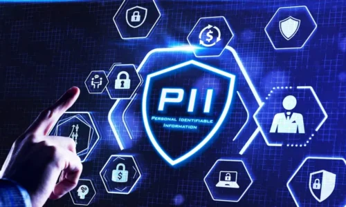 Understanding Personally Identifiable Information (PII): A Global and Indian Perspective on Data Protection