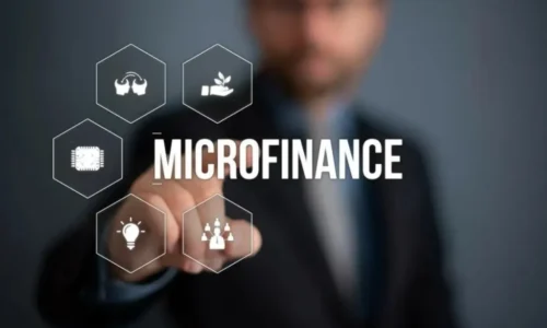 Top 10 Microfinance Companies in India 2025