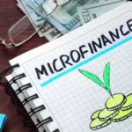 A Complete Guide to Microfinance Software for MFIs NBFC-MFIs Rural Lending Institutions