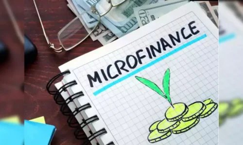 A Complete Guide to Microfinance Software for MFIs NBFC-MFIs Rural Lending Institutions